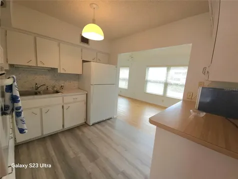 2386 Sumatran Way Clearwater FL 33763