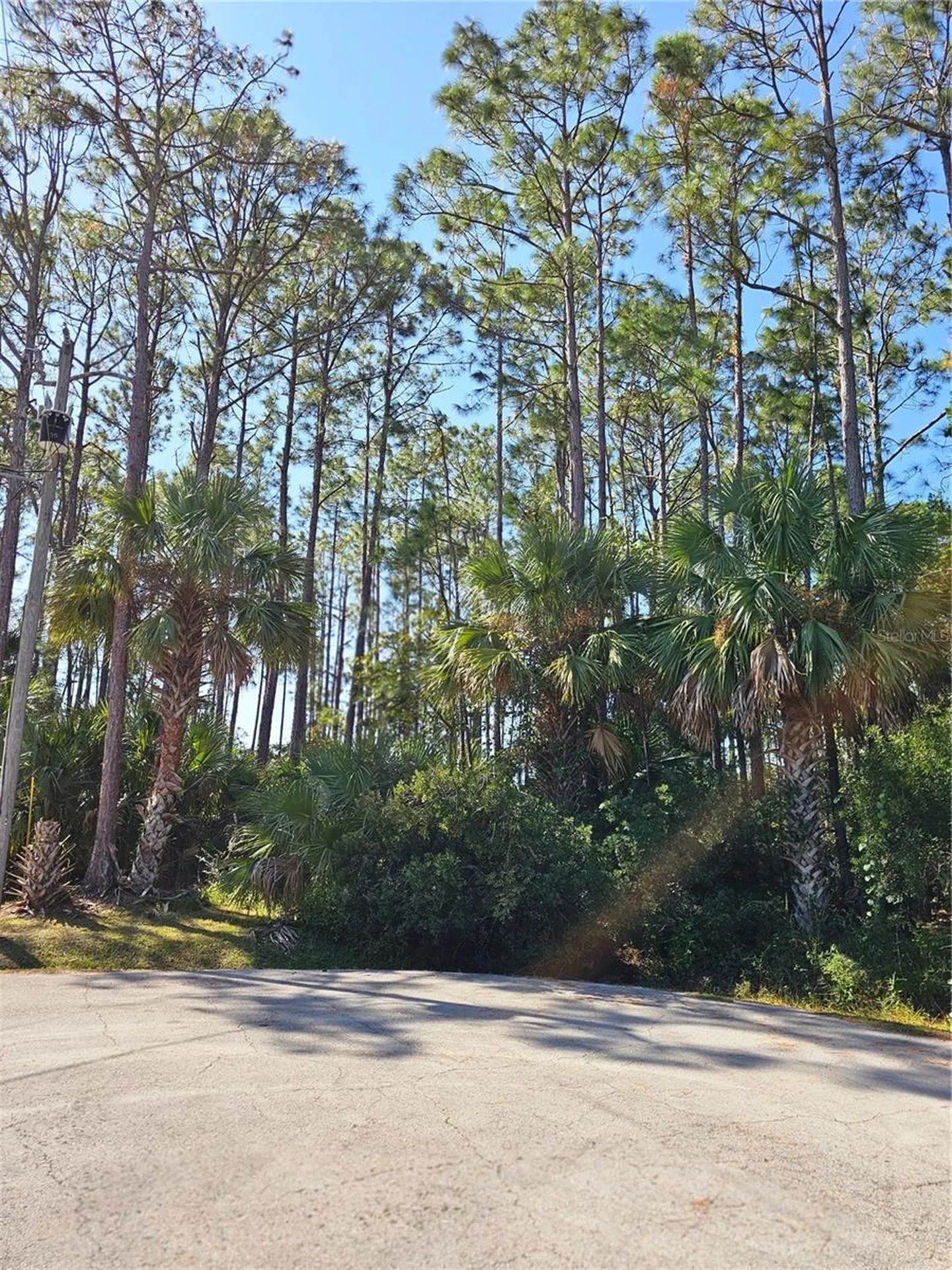 12 Ramsgate Place Palm Coast FL 32164