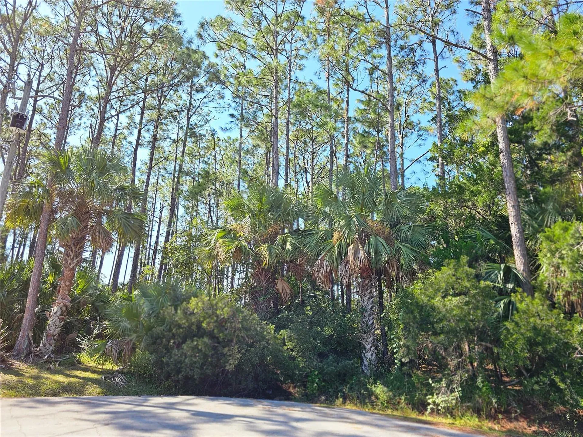12 Ramsgate Place Palm Coast FL 32164