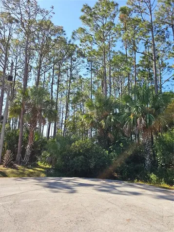 12 Ramsgate Place Palm Coast FL 32164