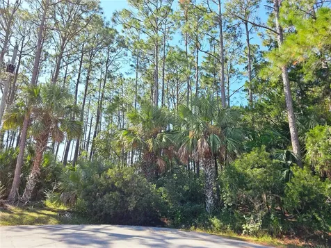12 Ramsgate Place Palm Coast FL 32164