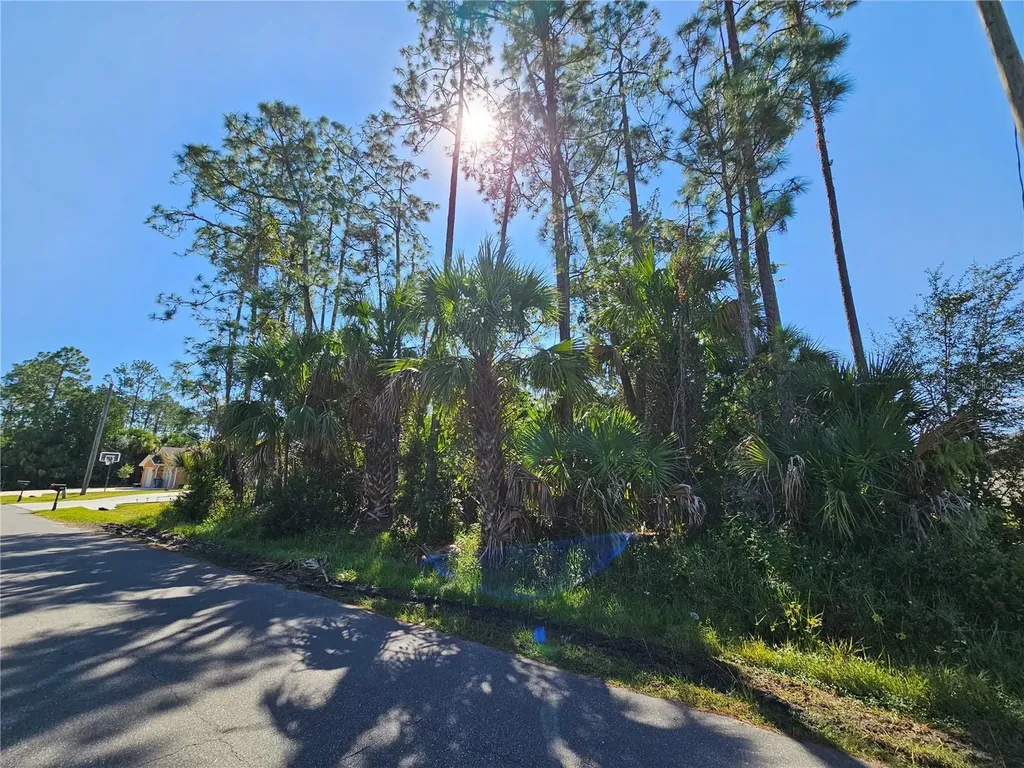 28 Pony Lane Palm Coast FL 32164
