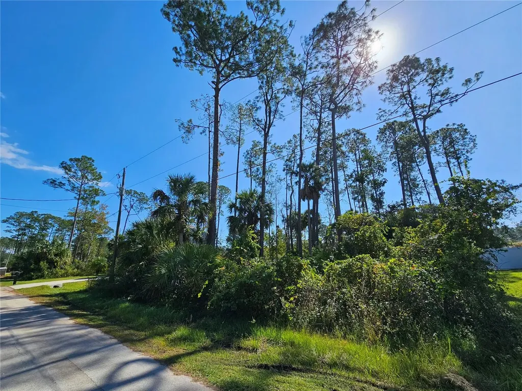 6 Poindexter Lane Palm Coast FL 32164