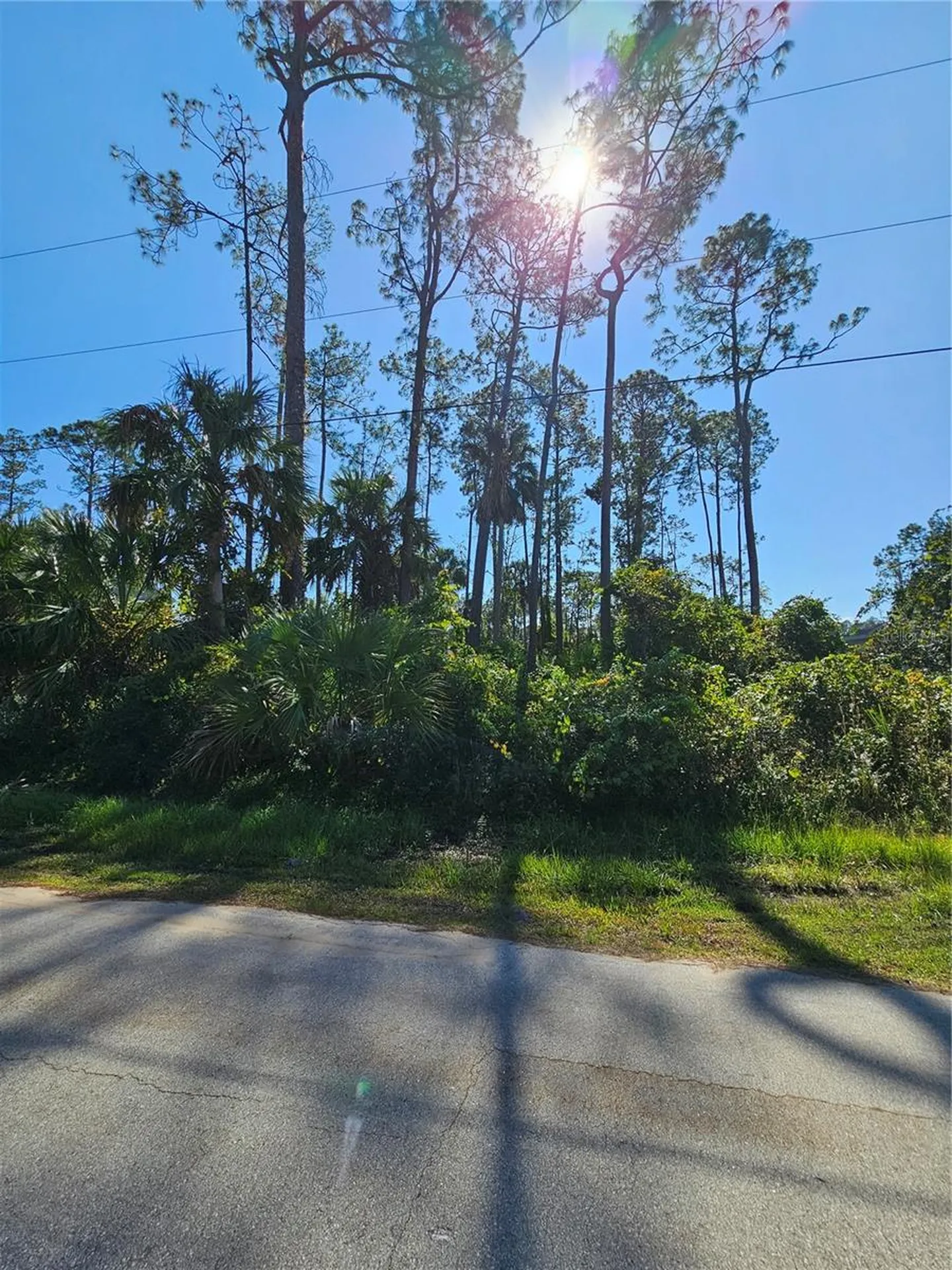 6 Poindexter Lane Palm Coast FL 32164