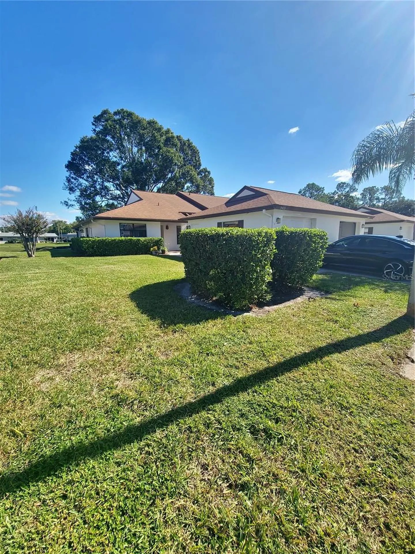 3422 Lori Lane New Port Richey FL 34655