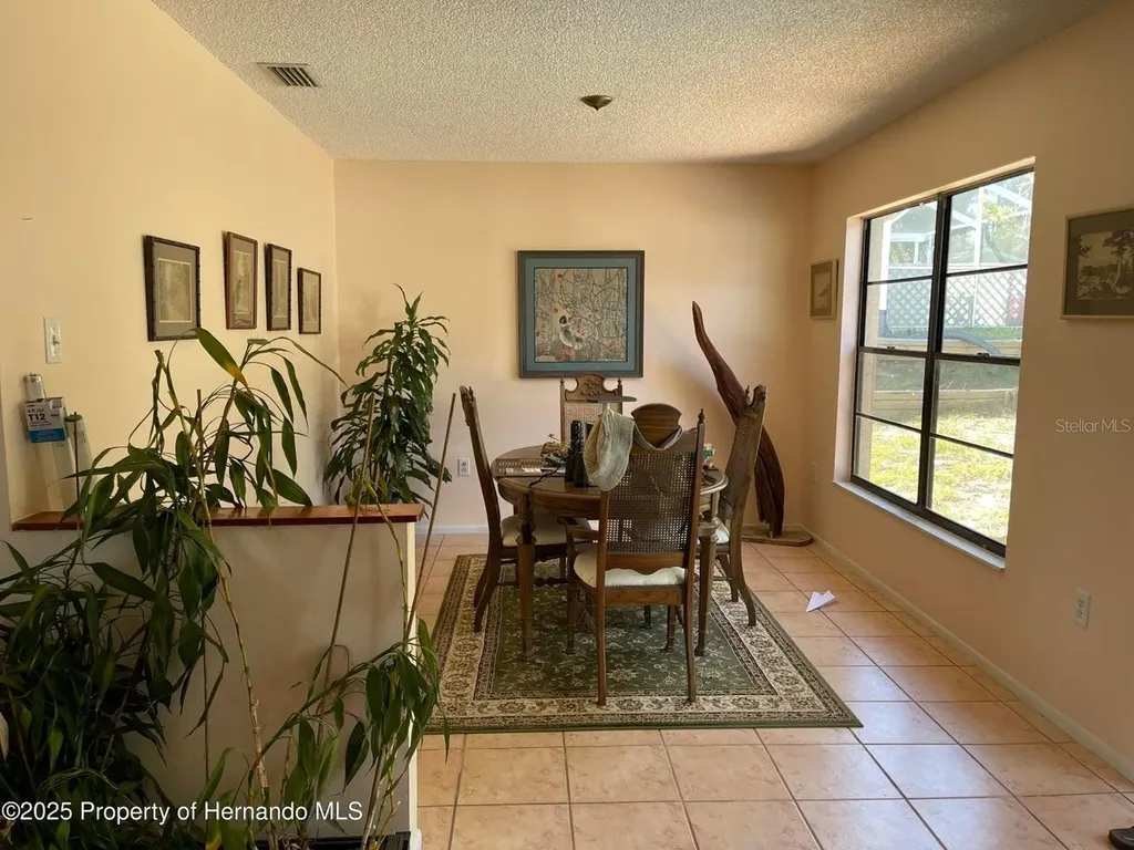 6233 Hancock Avenue Spring Hill FL 34608