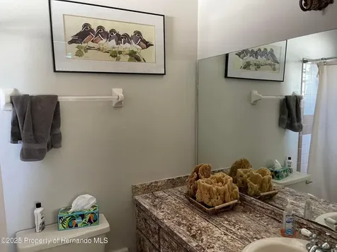 6233 Hancock Avenue Spring Hill FL 34608