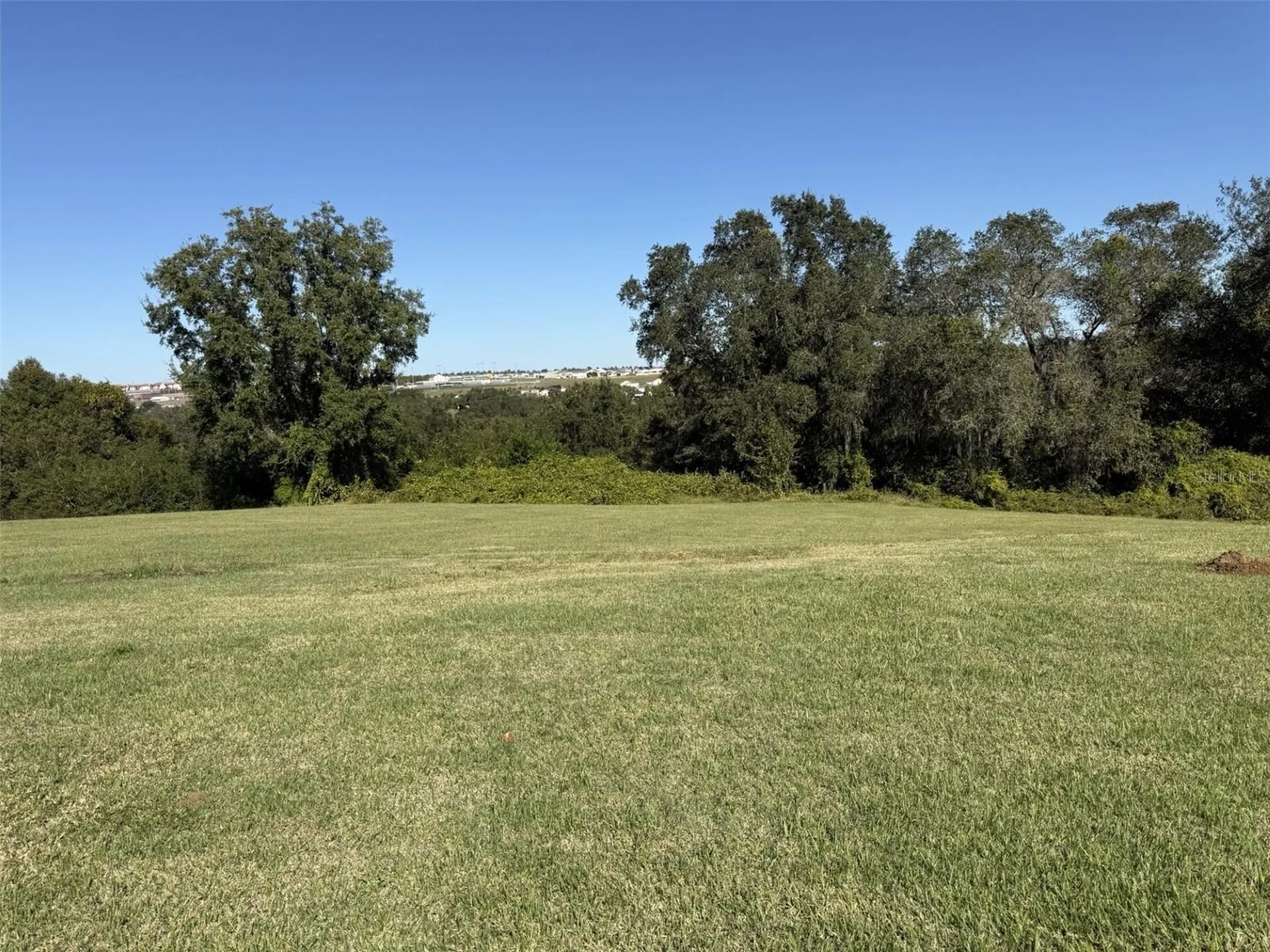 2196 Cedar Springs Way Clermont FL 34715