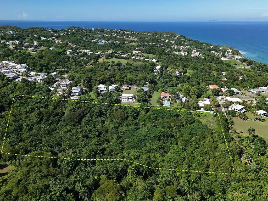 Calle Las Palmas Rincon PR 00677