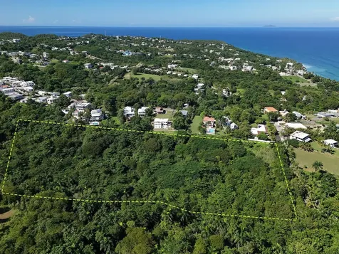 Calle Las Palmas Rincon PR 00677