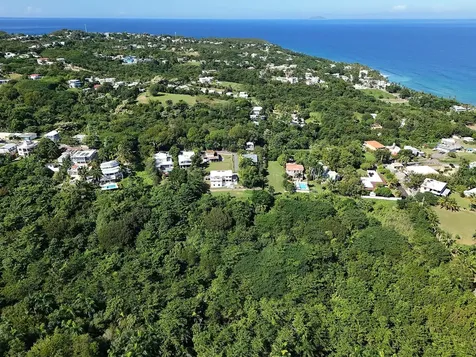 Calle Las Palmas Rincon PR 00677