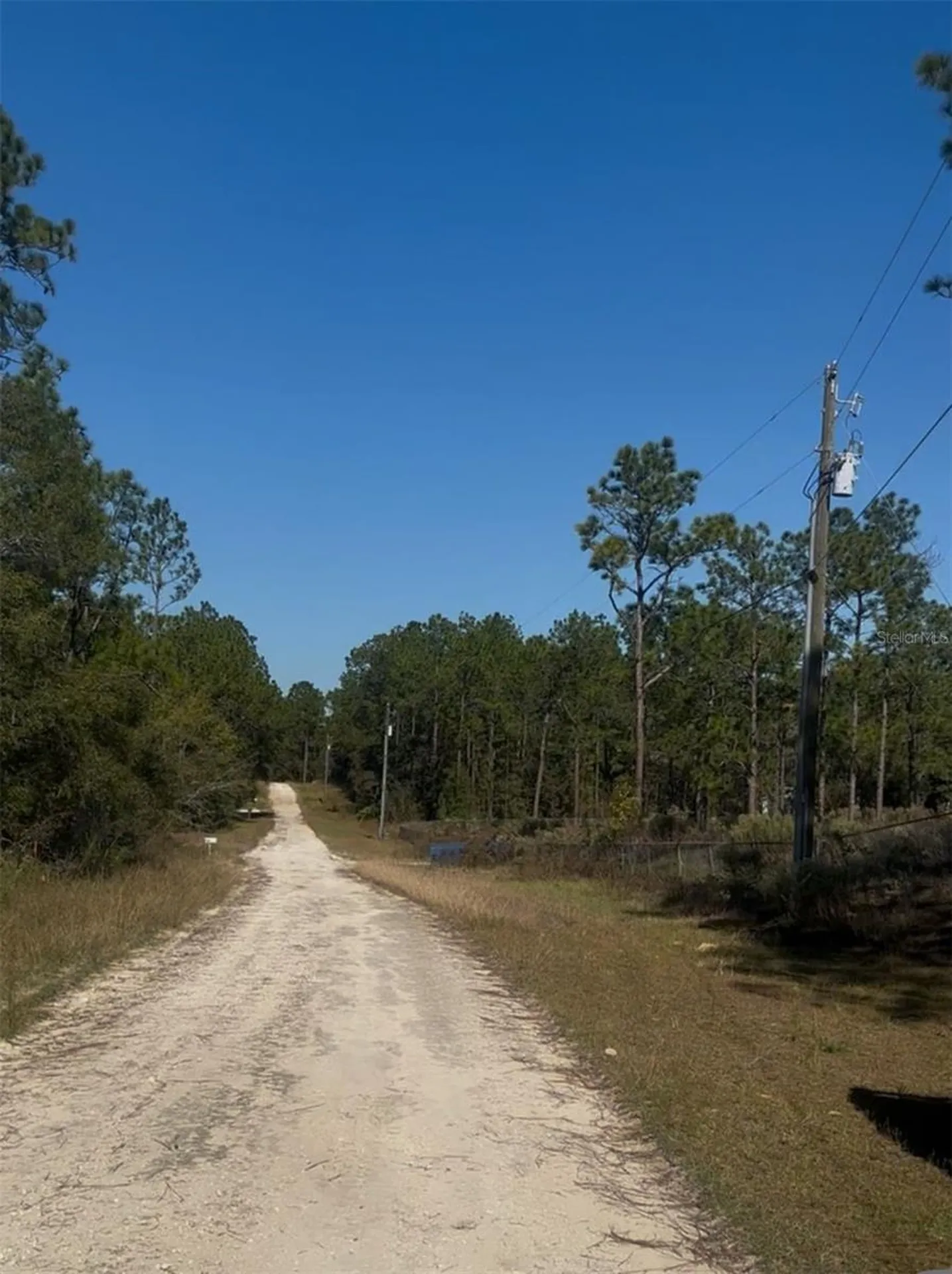 SW 128th Terrace Road Ocala FL 34481