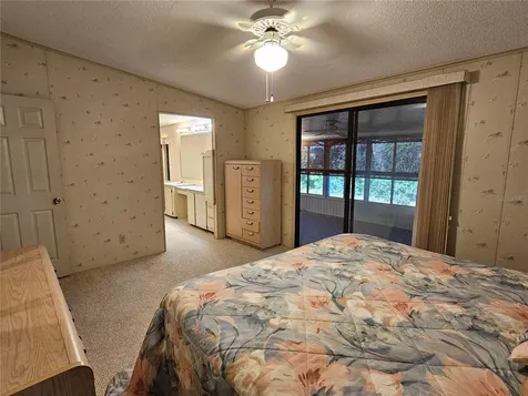 101 Dolphin Drive N Oldsmar FL 34677