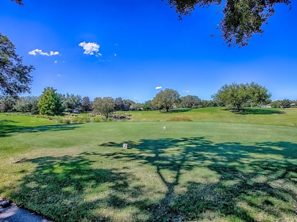 17627 SE 88th Covington Circle The Villages FL 32162