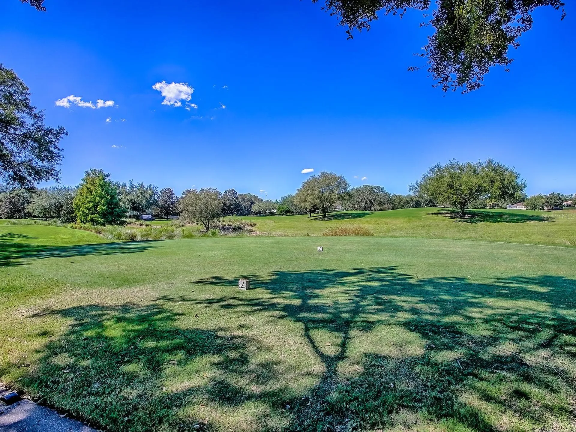 17627 SE 88th Covington Circle The Villages FL 32162