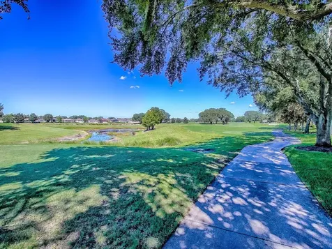 17627 SE 88th Covington Circle The Villages FL 32162