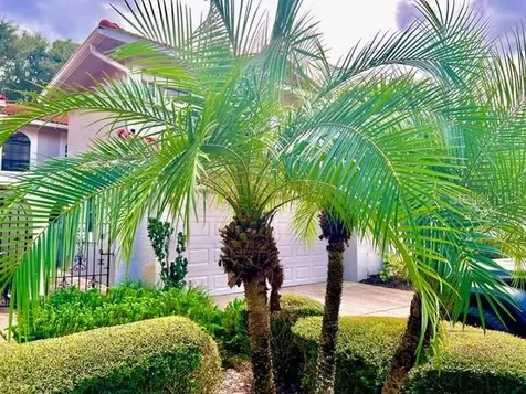 8214 Ambrose Cove Way Orlando FL 32819