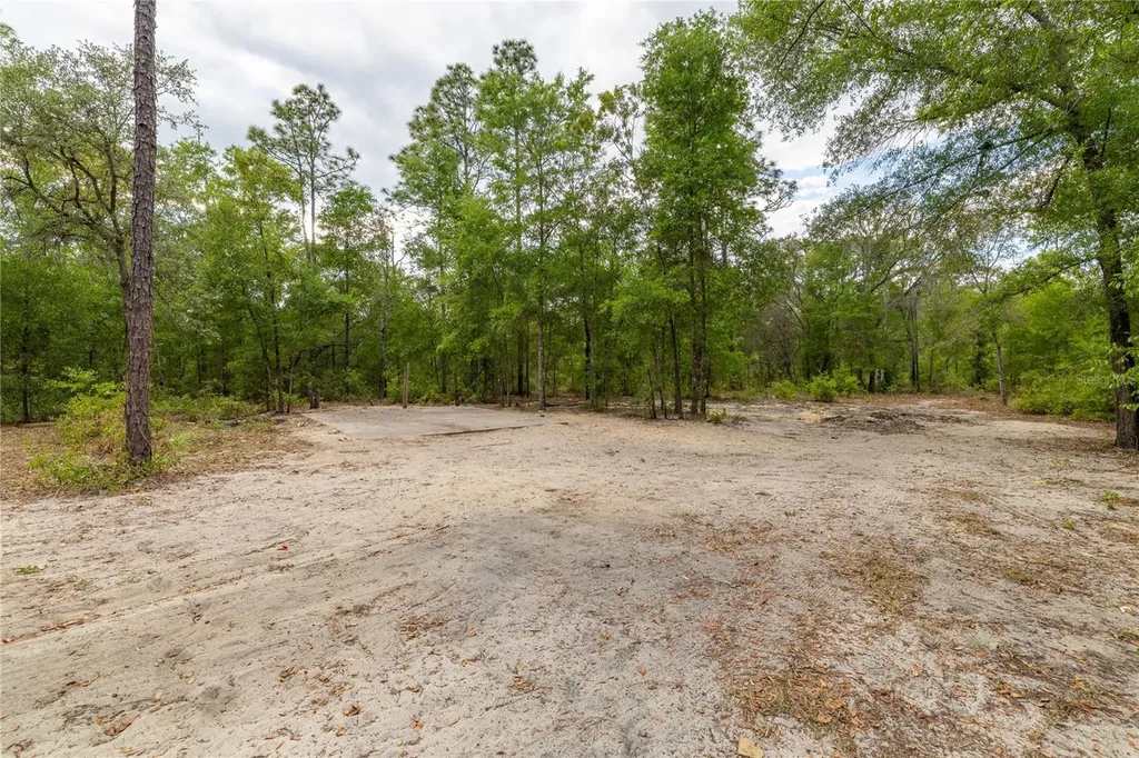 10111 NE 114th Street Archer FL 32618