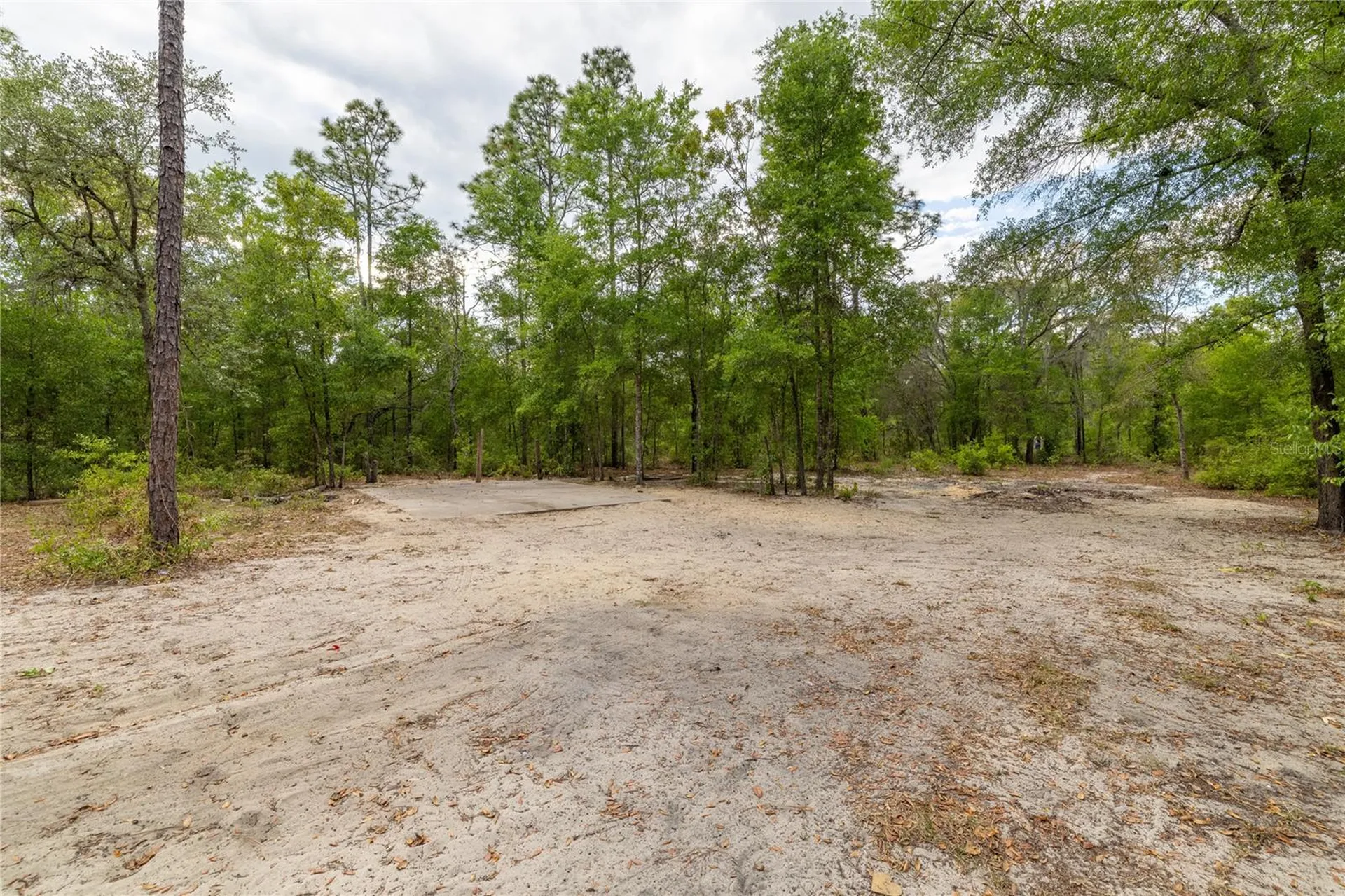 10111 NE 114th Street Archer FL 32618