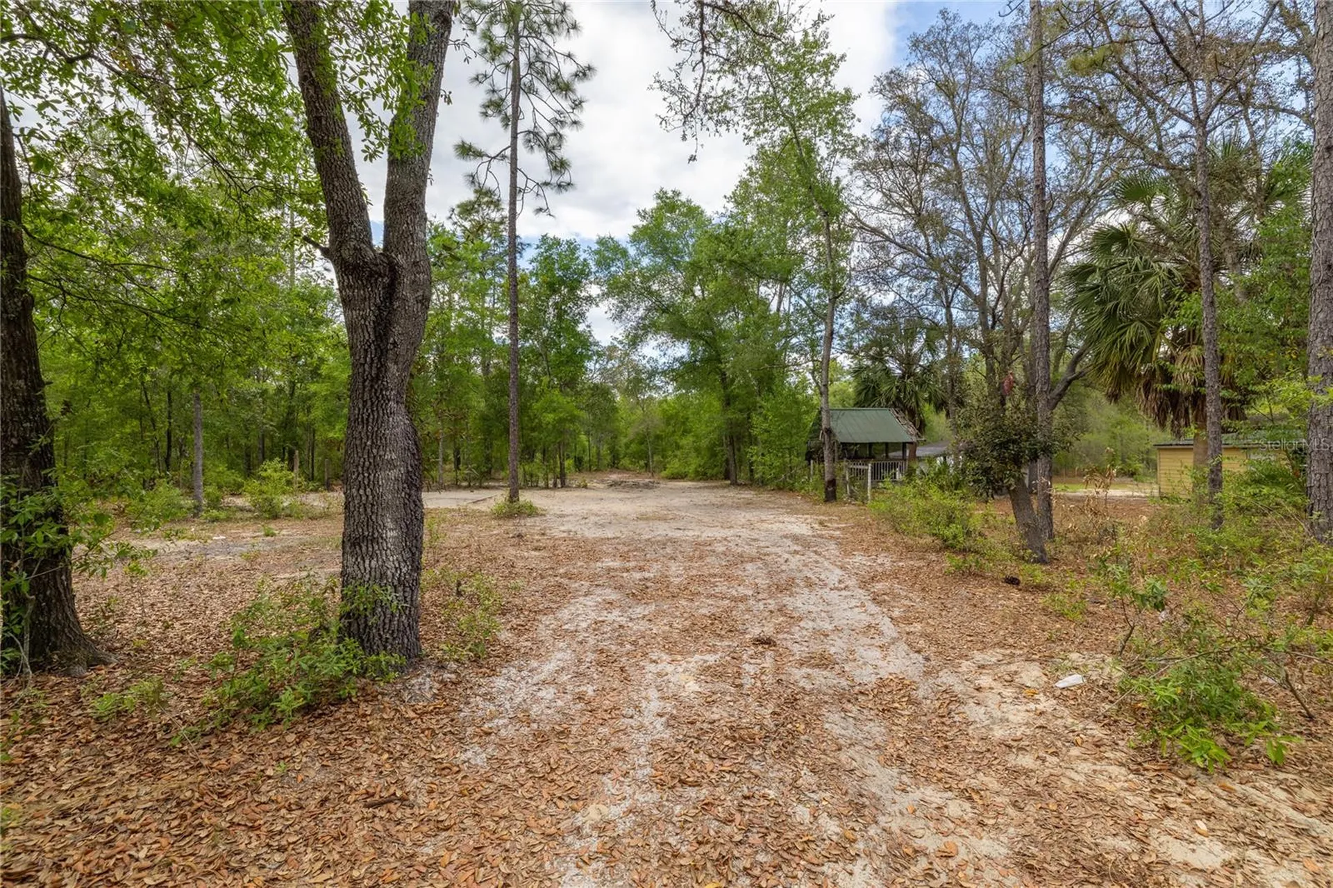 10111 NE 114th Street Archer FL 32618