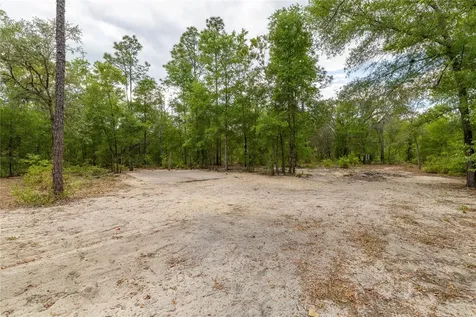 10111 NE 114th Street Archer FL 32618