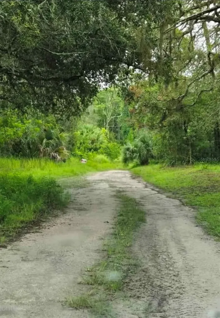 Ladd Avenue New Port Richey FL 34654