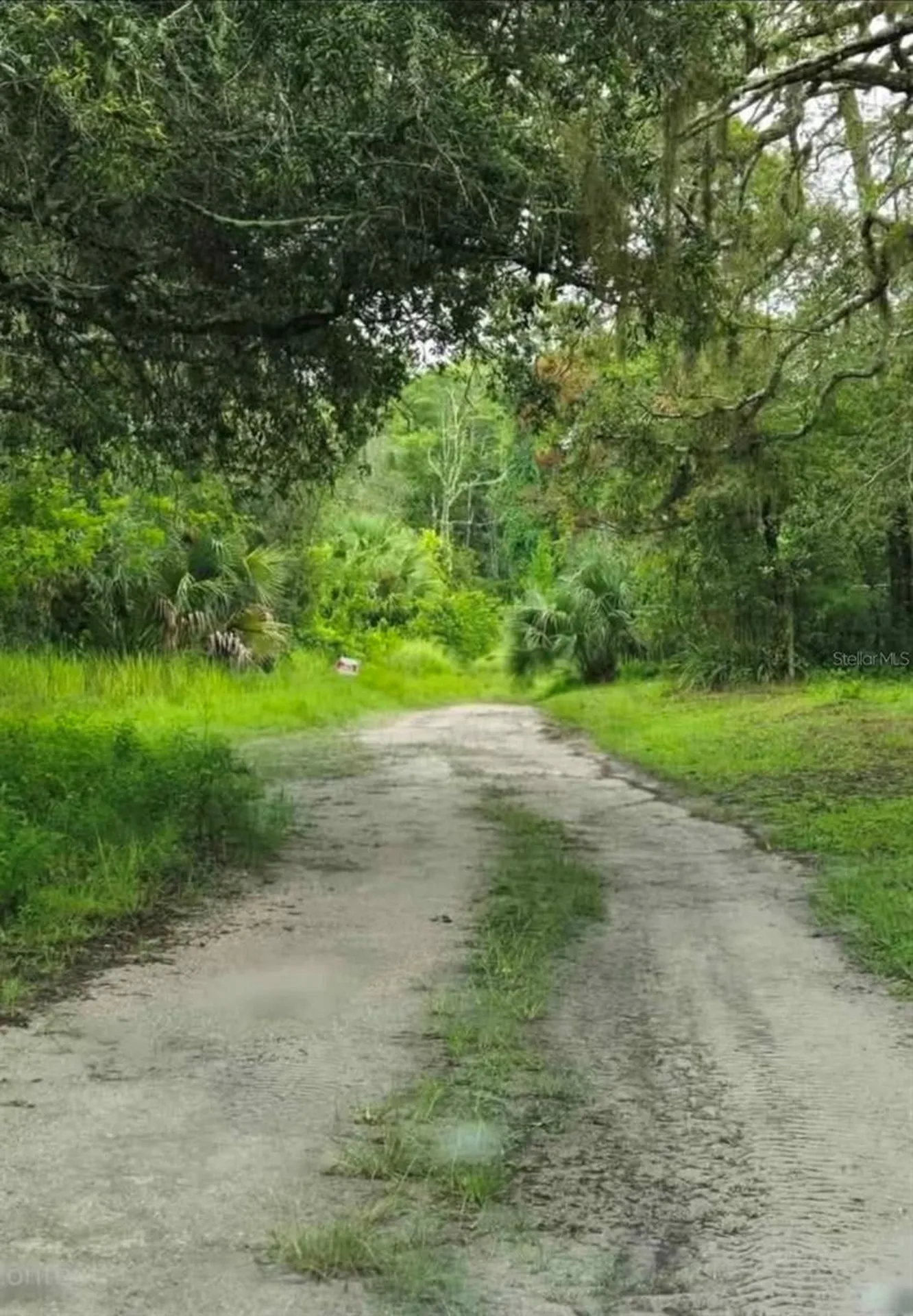 Ladd Avenue New Port Richey FL 34654