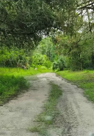 Ladd Avenue New Port Richey FL 34654