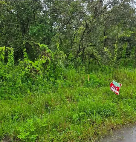 Ladd Avenue New Port Richey FL 34654
