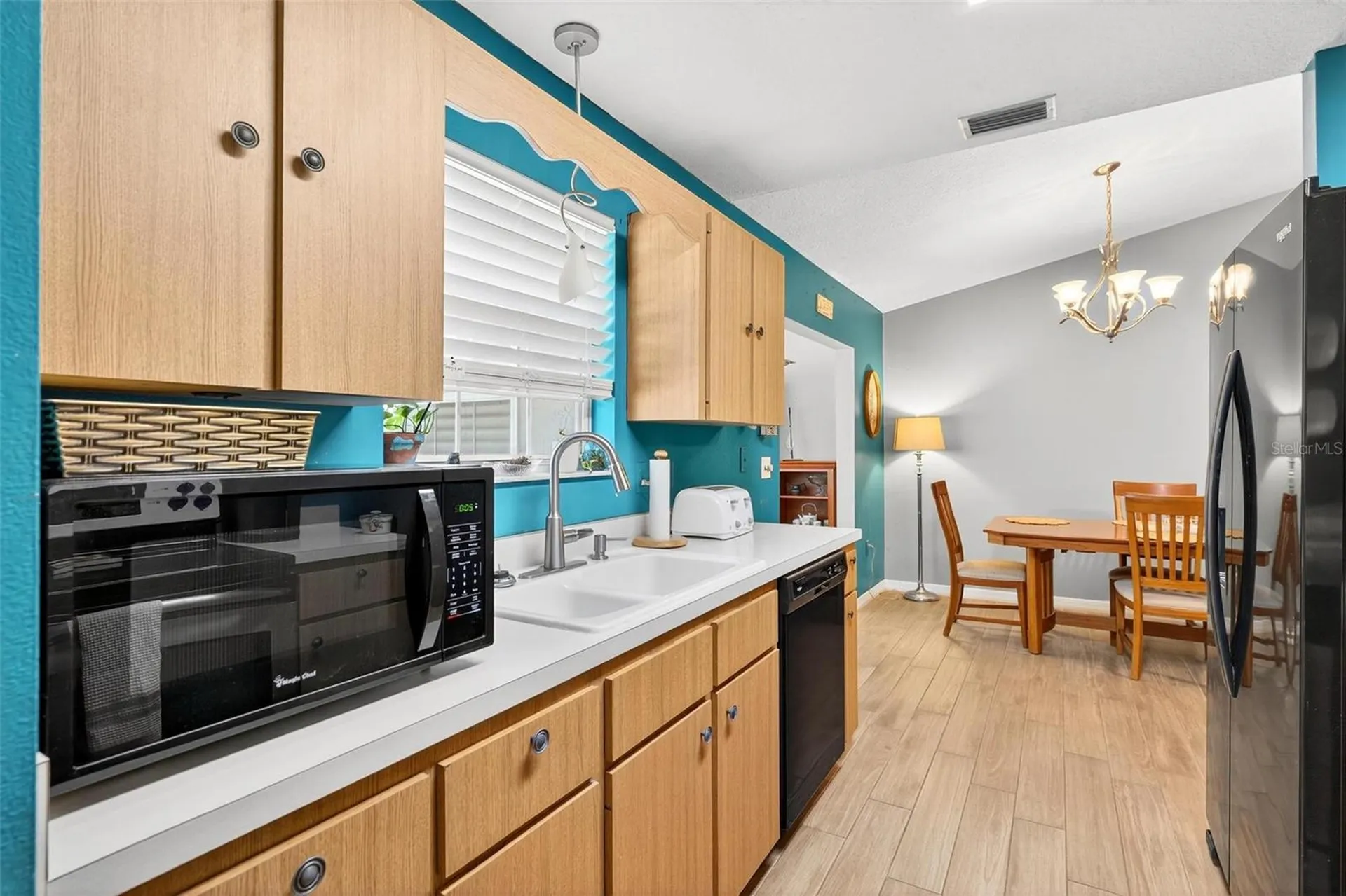34220 Black Bass Circle Fruitland Park FL 34731