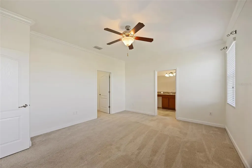 19485 Paddock View Drive Tampa FL 33647