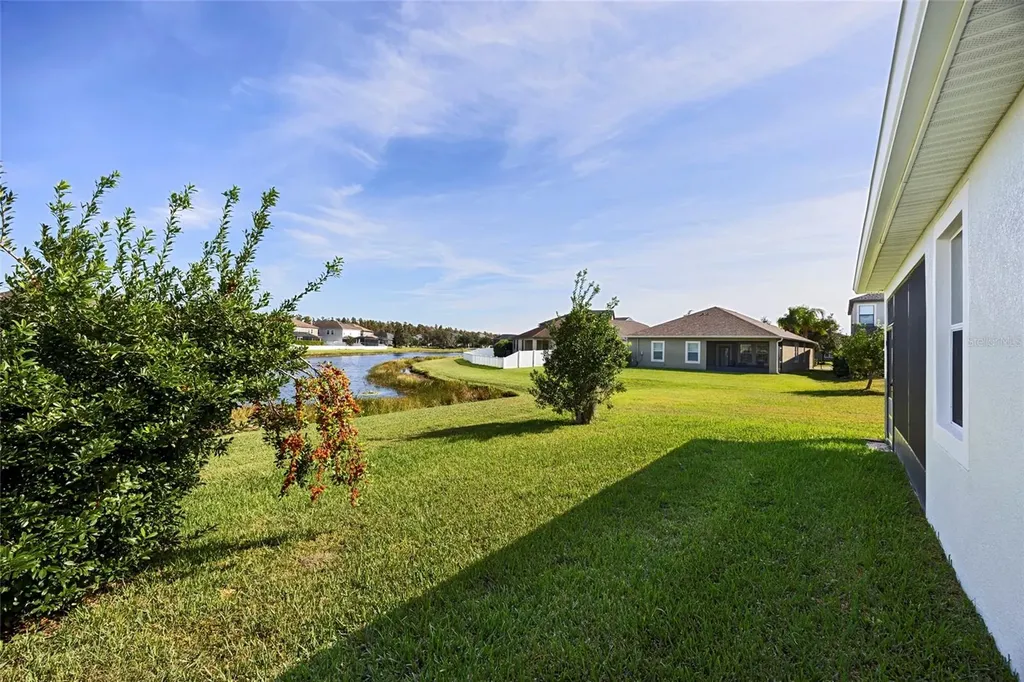 19485 Paddock View Drive Tampa FL 33647