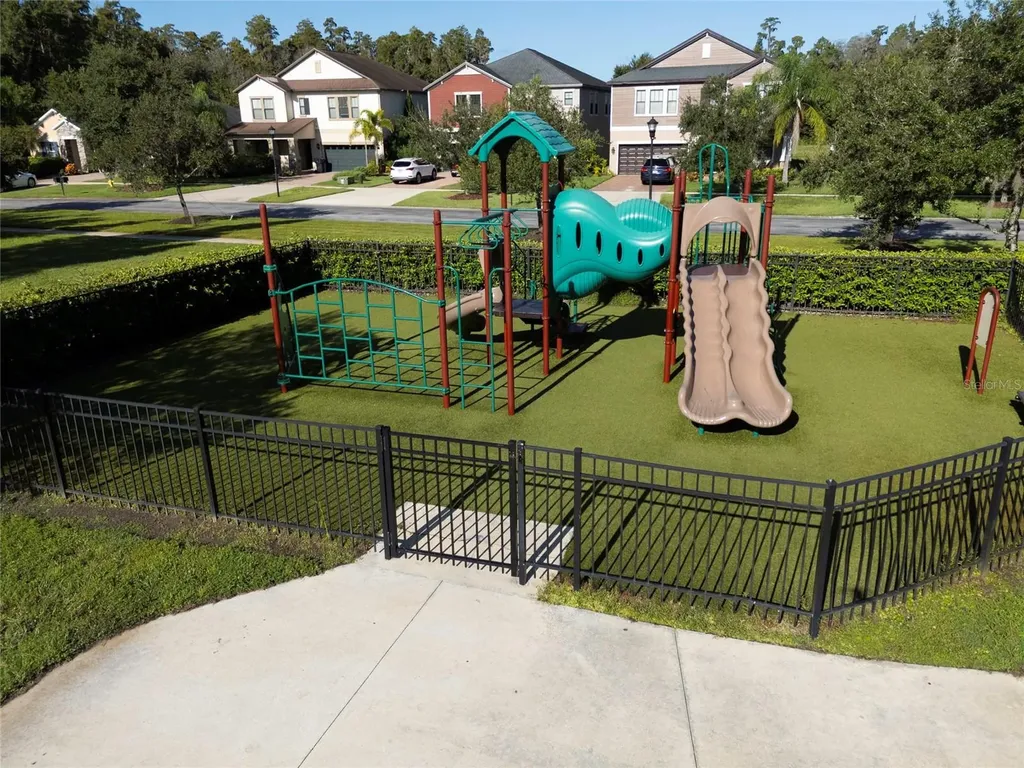 19485 Paddock View Drive Tampa FL 33647