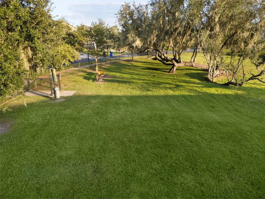 19485 Paddock View Drive Tampa FL 33647