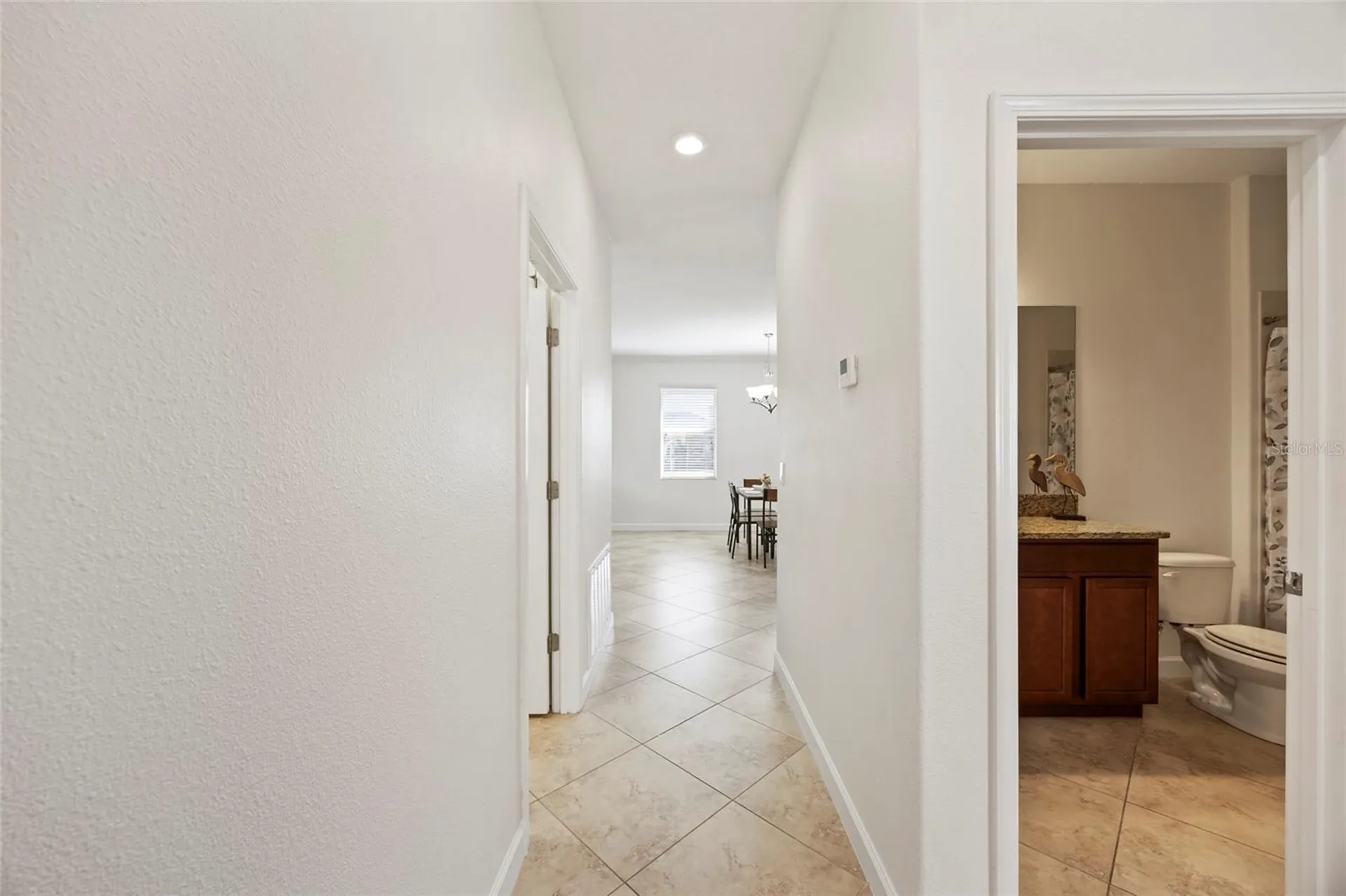 19485 Paddock View Drive Tampa FL 33647
