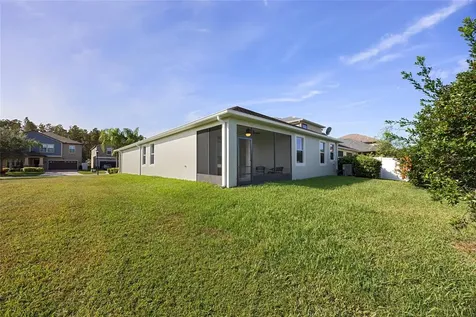 19485 Paddock View Drive Tampa FL 33647