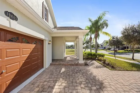 19485 Paddock View Drive Tampa FL 33647