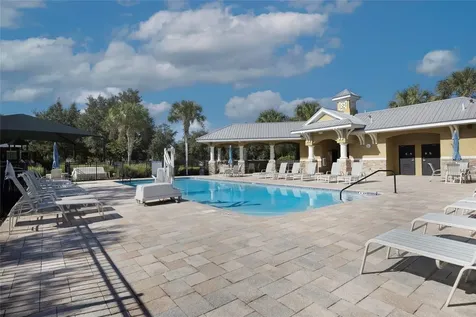 19485 Paddock View Drive Tampa FL 33647