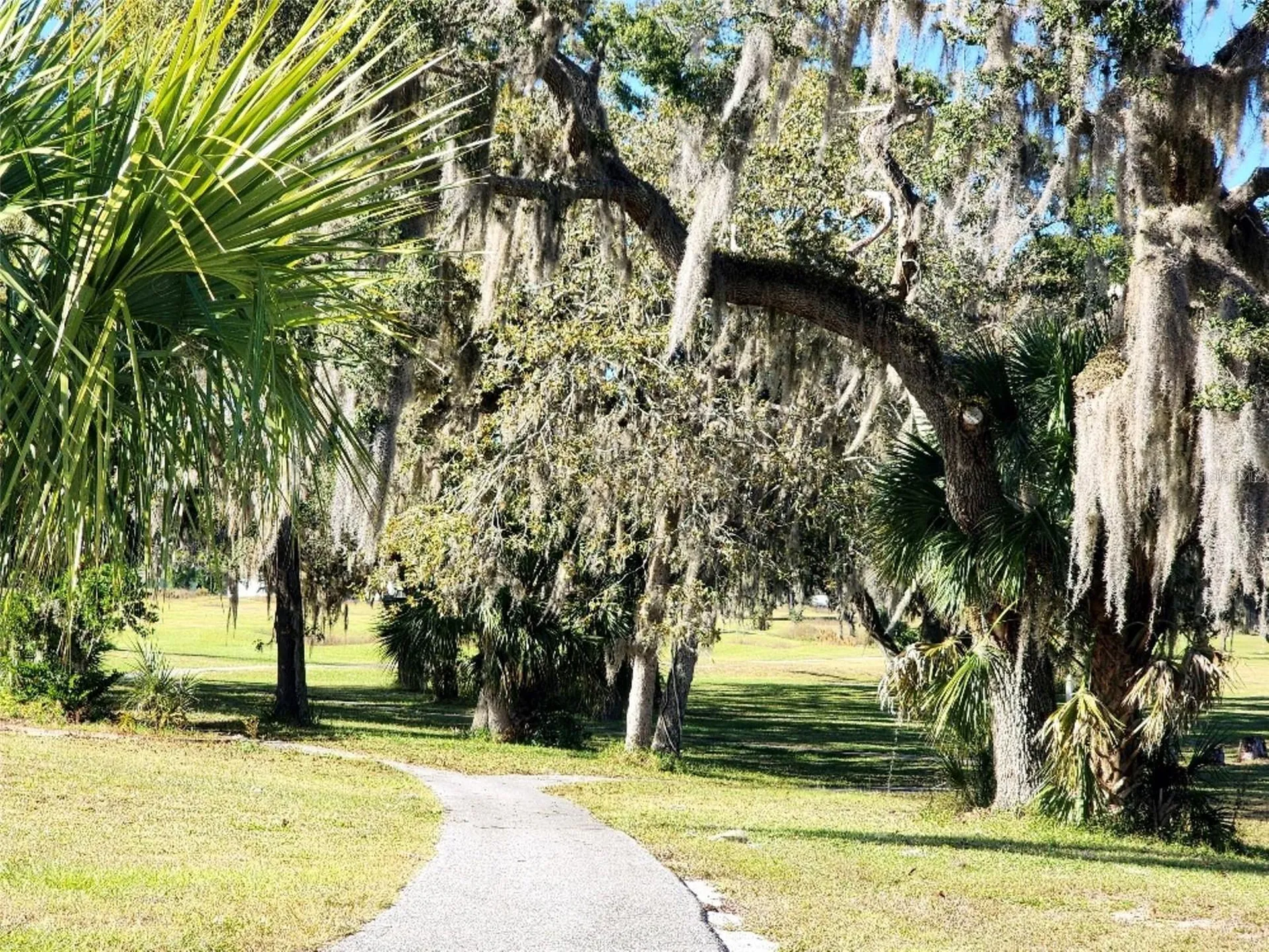34386 Whispering Oaks Boulevard Dade City FL 33523