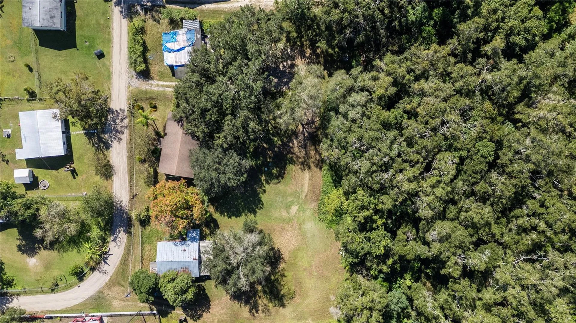15217 Myrtle Street Dade City FL 33523