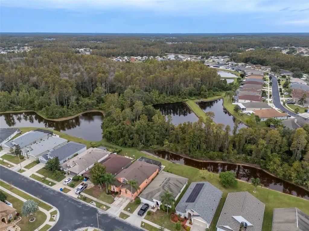 31241 Kirkshire Court Wesley Chapel FL 33543