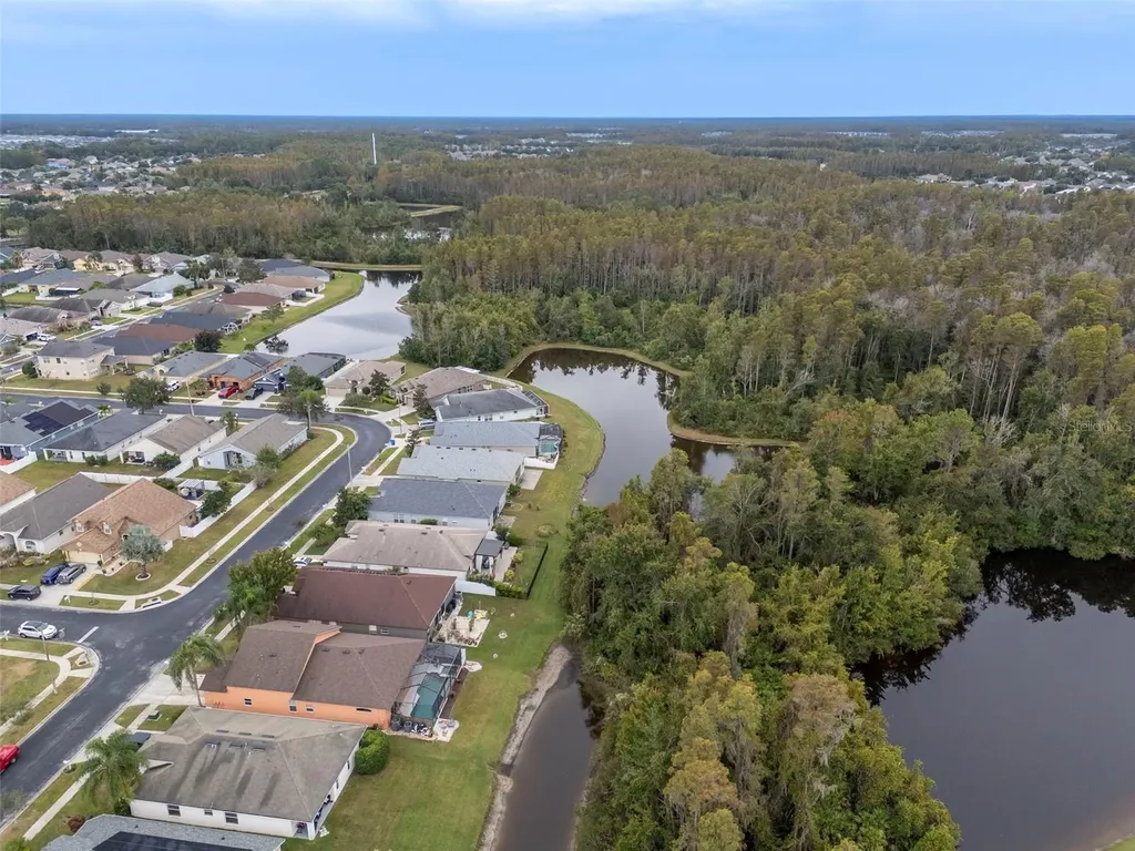 31241 Kirkshire Court Wesley Chapel FL 33543