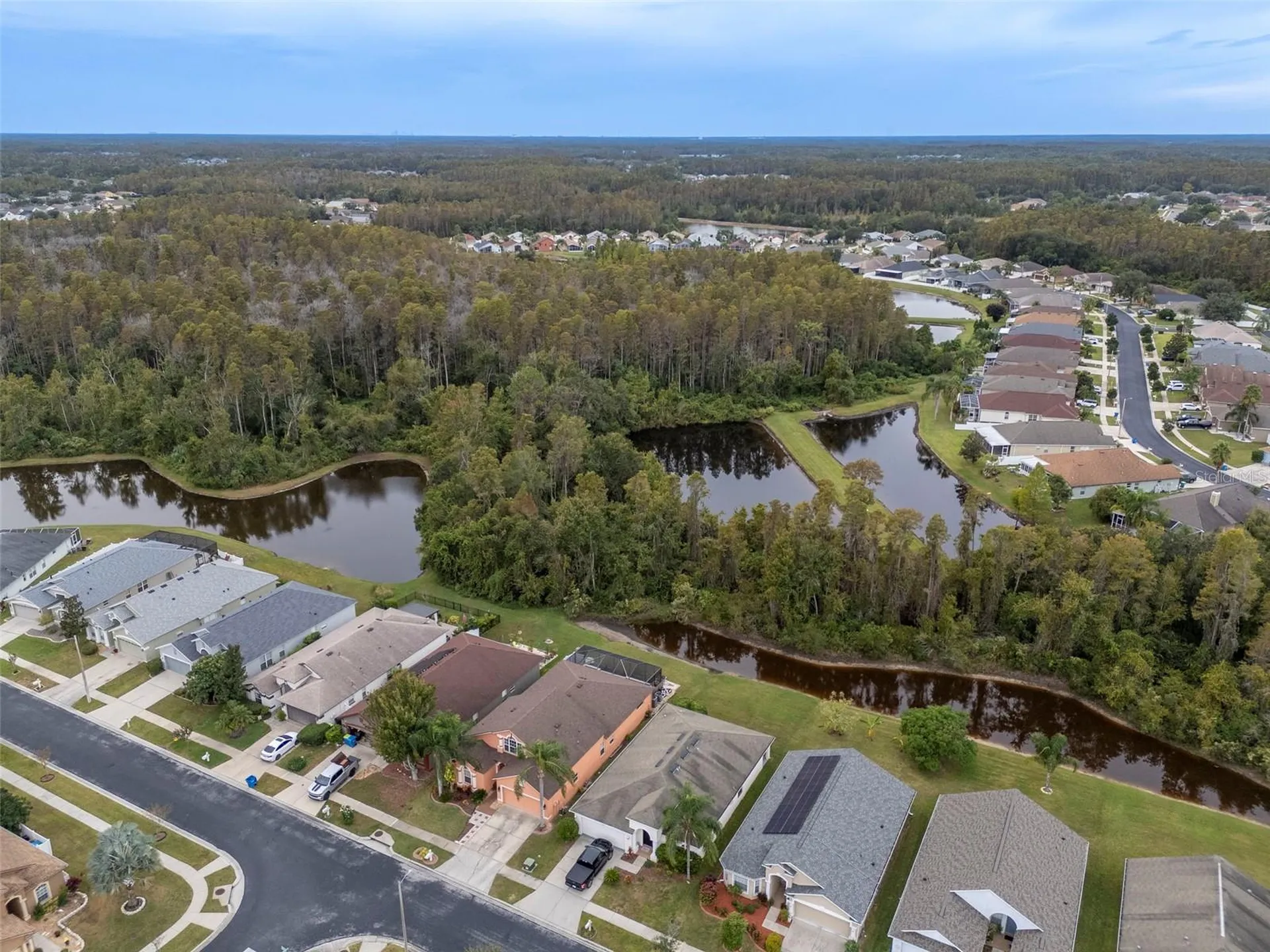 31241 Kirkshire Court Wesley Chapel FL 33543