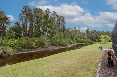 31241 Kirkshire Court Wesley Chapel FL 33543