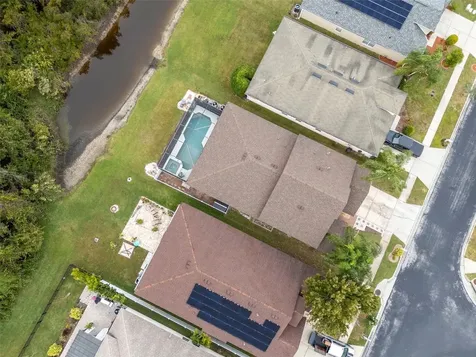31241 Kirkshire Court Wesley Chapel FL 33543