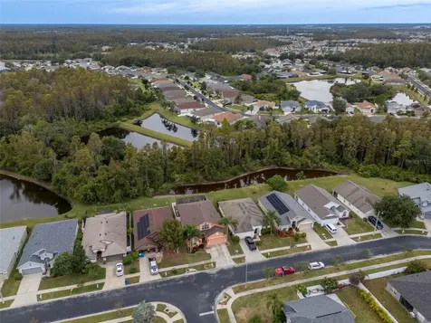 31241 Kirkshire Court Wesley Chapel FL 33543