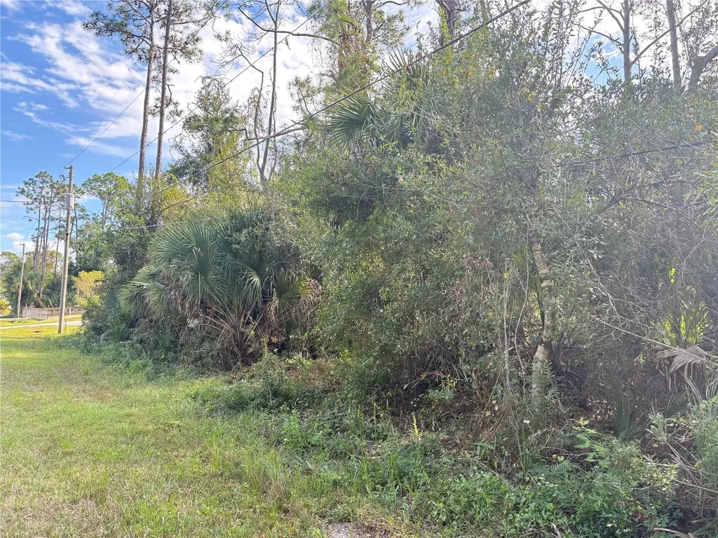 Cobbler Lane North Port FL 34286