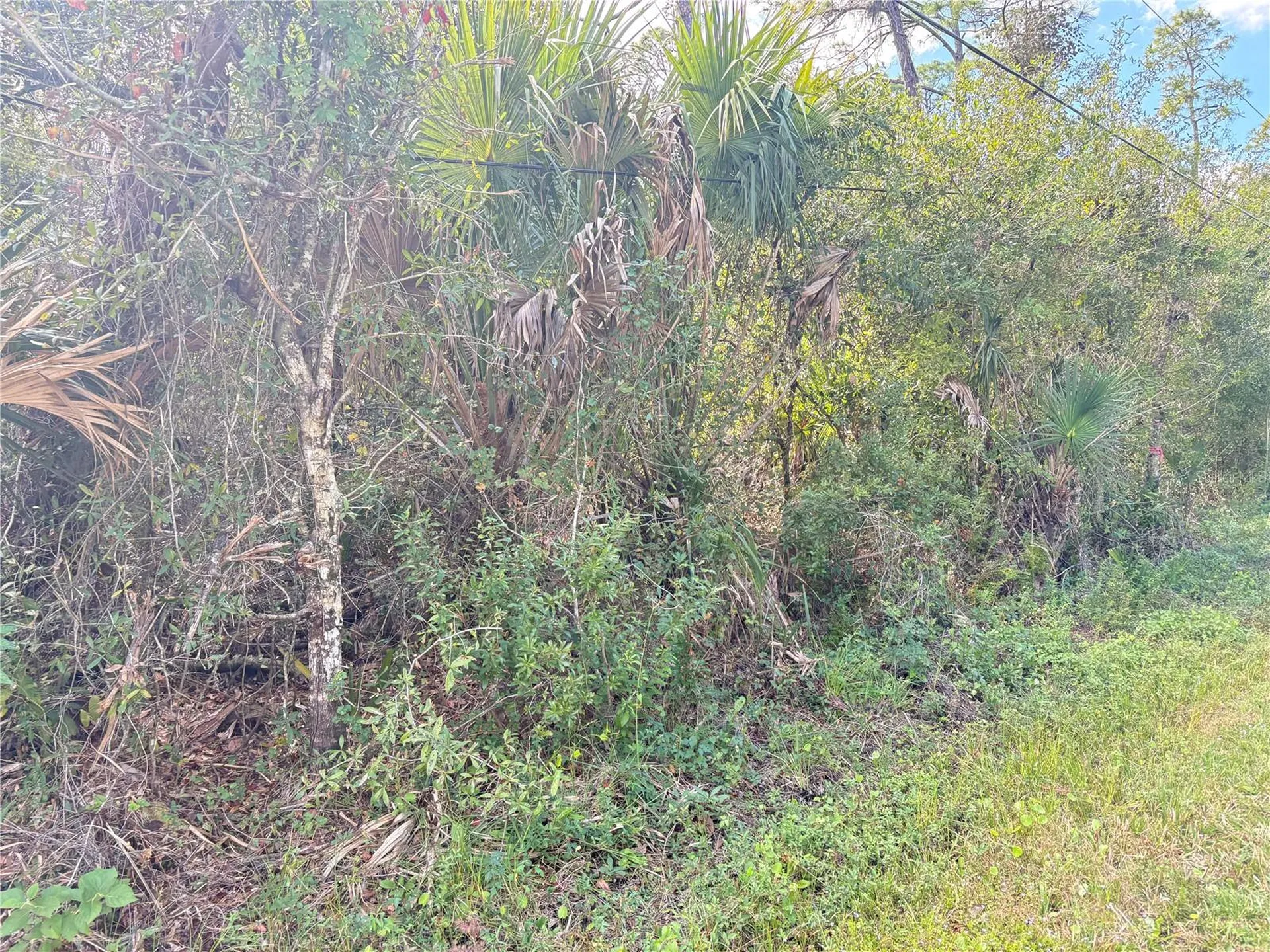 Cobbler Lane North Port FL 34286