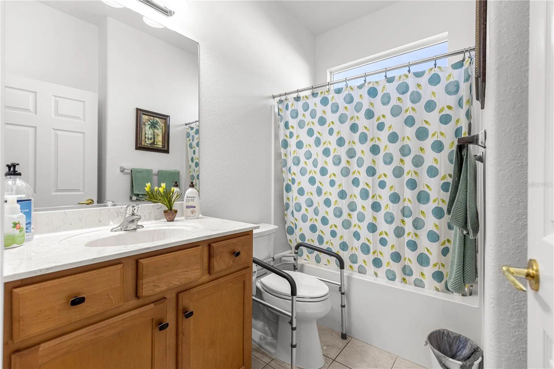 13914 SE 96th Circle Summerfield FL 34491