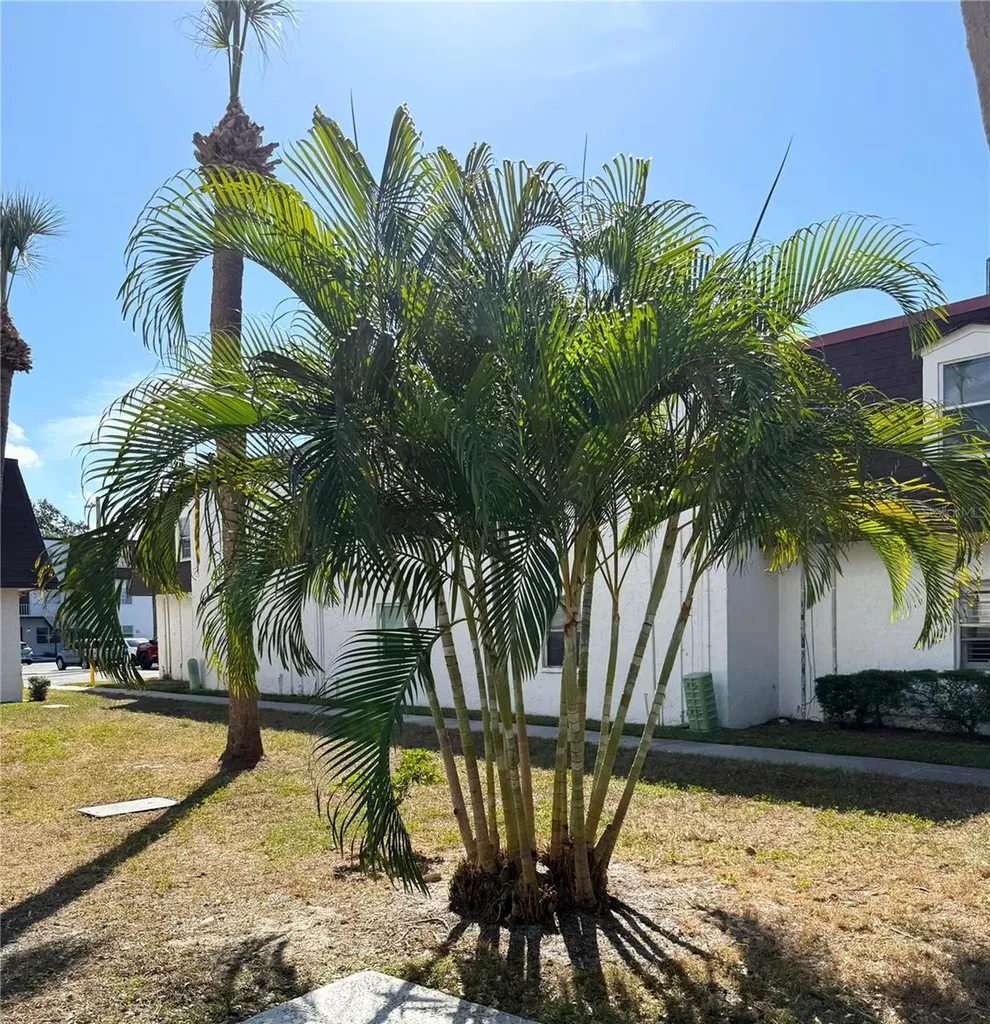 9002 Tudor Drive Tampa FL 33615